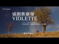 《盛開紫羅蘭》violette 愛上西蒙波娃的她，無奈只能以文字昇華一切