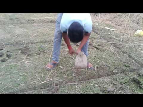 creating badminton court☺☺☺ creating badminton court☺☺☺