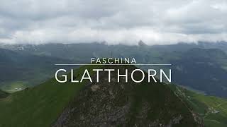 Glatthorn | Faschina