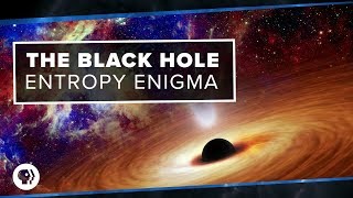 The Black Hole Entropy Enigma