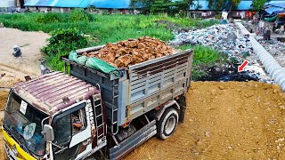 Perfect Technique ! Landfill Process by 5tons truck With Skill D31P Bulldozer