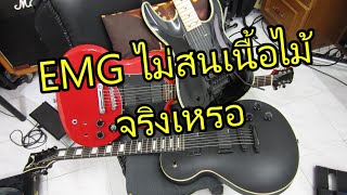 EMG ไม่สนเนื้อไม้จริงหรือ Tone Wood มีผลจริงมั้ย มาพิสูจน์กันเลยจ้า