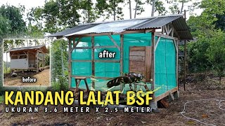 KANDANG LALAT BSF (BLACK SOLDIER FLY) • INSECT BREEDING