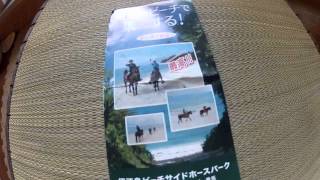 Iejima horseback riding in the Ocean