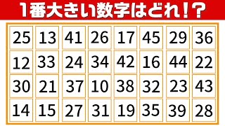 【集中力テスト】一番大きい数字探し【観察力を鍛えよう】