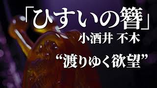 朗読：小酒井不木「ひすいの簪」