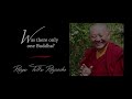 16. Was there only one Buddha? | Answers for Beginners | Ringu Tulku Rinpoche