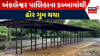 Bharuch News । અંકલેશ્વર પાલિકાના ડબ્બામાંથી ઢોર ગુમ થયા । Gujarati News । News 18 Gujarati