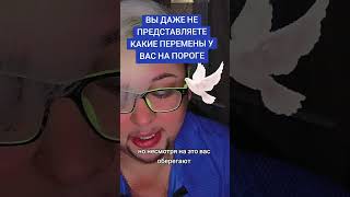 Вы даже не представляете к чему вас ведут🤯🕊️🎁поддержать канал в описании видео 👇#tarotcards #tarot