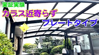 【実証動画】株式会社カラスバスター様から販売されている、カラス近寄らずの効果を実証実験しました。 Vol.2