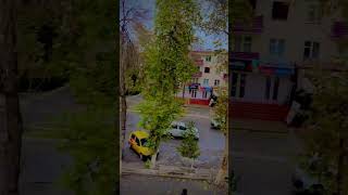 Beautiful weather after rain in Fergana #tashkent #uzbekistan #trending #trendingshorts #msvlog