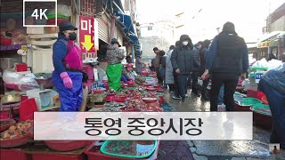 【4K】펄떡거리는 물고기들 구경하러 통영 중앙시장으로~ (먹거리👍) Let's go to Tongyeong! (2022.01)