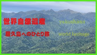 【世界遺産　屋久島　ひとり旅】　死ぬまでに行きたい世界自然遺産　@hootraveler