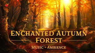 Enchanted Forest Autumn Ambience 🍂🍄🧚🏻‍♀️ Fantasy Music & Ambience | ASMR to Study, Read and Relax