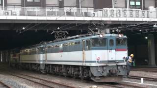 【JR貨】EF65-2074+EF65-2117+DE10-1576入換 大宮車両センター