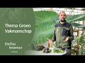 Groen Vakmanschap | DIY Avocado Plant | Hortus botanicus Leiden