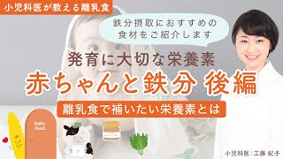 【離乳食のススメ方】赤ちゃんに不足しがちな栄養素 #3 鉄分 後編【小児科医が解説】