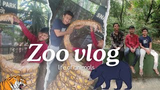 Sher Se Mila, Lekin Sher Ne Bhav Hi Nahi Diya😂! | Zoo Vlog