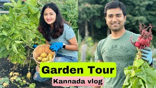 Welcome to our Garden in USA 🌱| Vegetables garden tour 🍅 | Most requested video Part - 3