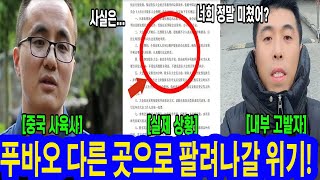 푸바오 다른 곳으로 팔려나갈 위기! 내부 고발자 증거 자료 공개.. 뒤늦게 밝혀진 발작과 은폐 이유! 실제영상포함