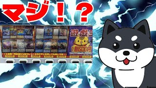 【#遊戯王】俺はいつでも全力でガチャ＆オリパを楽しむのだ！