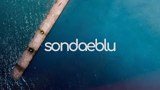 Sondaeblu - Afrobeats, Olamide, Rema, Falana, MHD, Party Mix 2022 | bayou.