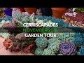 Cerriscapades - Succulent Garden Tour November 2018