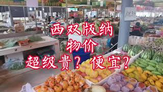 【小龙在版纳】Is Xishuangbanna super expensive? Cheap? 15/03/2022