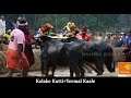 balluda malla chance race katapdi kambala 2022 12 march 2022 namma kambala