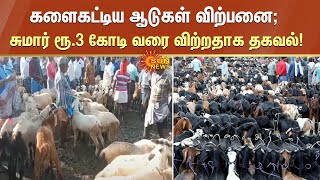 களைகட்டிய ஆடுகள் விற்பனை; சுமார் ரூ.3 கோடி வரை விற்றதாக தகவல்! | #GoatMarket | #Melur | Sun News