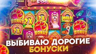 Я ПЫТАЛСЯ !! СЛОВИЛ БОНУСКУ ЗА 500.000 РУБЛЕЙ И ЗАНОС !! ЛЮТАЯ СЕССИЯ В THE DOG HOUSE MEGAWAYS !!!