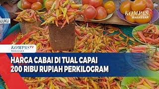 Harga Cabai Di Tual Capai 200 Ribu Rupiah Perkilogram