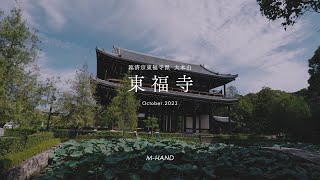 【京都】東福寺の青もみじ｜Kyoto Japan Cinematic Film 4K