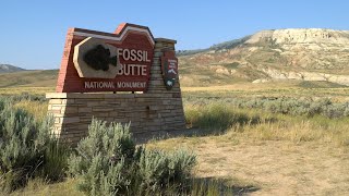 Fossil Butte - Our Wyoming