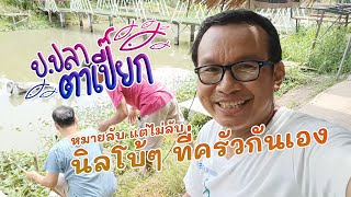 ป.ปลาตาเปี๊ยก EP.73 | แต่ไม่ลับ นิลโบ้ๆ ที่ครัวกันเอง