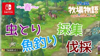 【ドラえもん のび太の牧場物語】春のエリア情報!!　昆虫採集・釣り・採集：ネタばれ注意【大自然の王国とみんなの家】