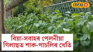 বিয়া সবাহৰ পেলনীয়া গিলাছত শাক-পাচলিৰ খেতি #local18