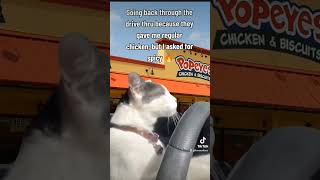 IFYKYK #ifykyk  #comedy #relatable #fastfood #popeyes #chicken