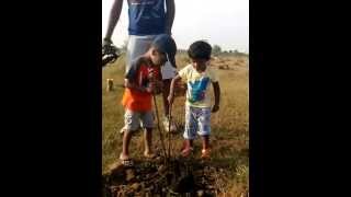 Ainthinai Tree Plantation Event at Thenneri lake near Walajabad