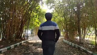 Bamboo garden l morshi dam cinematography l