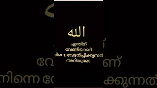 എന്തുകൊണ്ടാണ്😭🤲#shortvideo #malayalam #subscribe