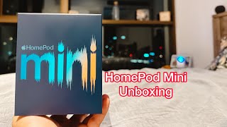 Apple HomePod Mini - Stereo Pair