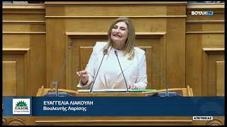 ΛΙΑΚΟΥΛΗ ΝΣ ΝΕΟΣ ΔΙΚΑΣΤΙΚΟΣ ΧΑΡΤΗΣ