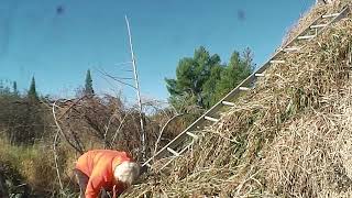 Thatching with Grass on the Grass Hut Tipi with Nancy Today