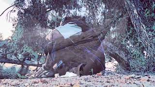 Mountain Man Song - Dirtwater (video)/ Toxik-One