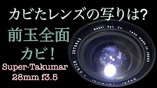 前玉広範囲にカビが広がっているレンズでの写りは？Super-Takumar 28mmm f3.5