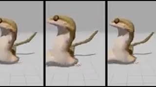 Lizard dancing 10 hours