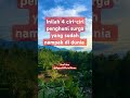 inilah 4 ciri ciri penghuni surga yang kelihatan di dunia shorts motivation quotes foryou