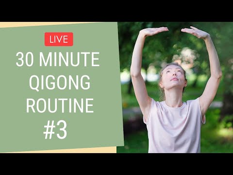 30 Minute Qigong Routine - Qigong Exercises For Beginners - YouTube