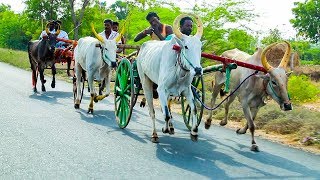 Naduvakurichi chinna mattu vandi panthayam recklarace jawaharstudio